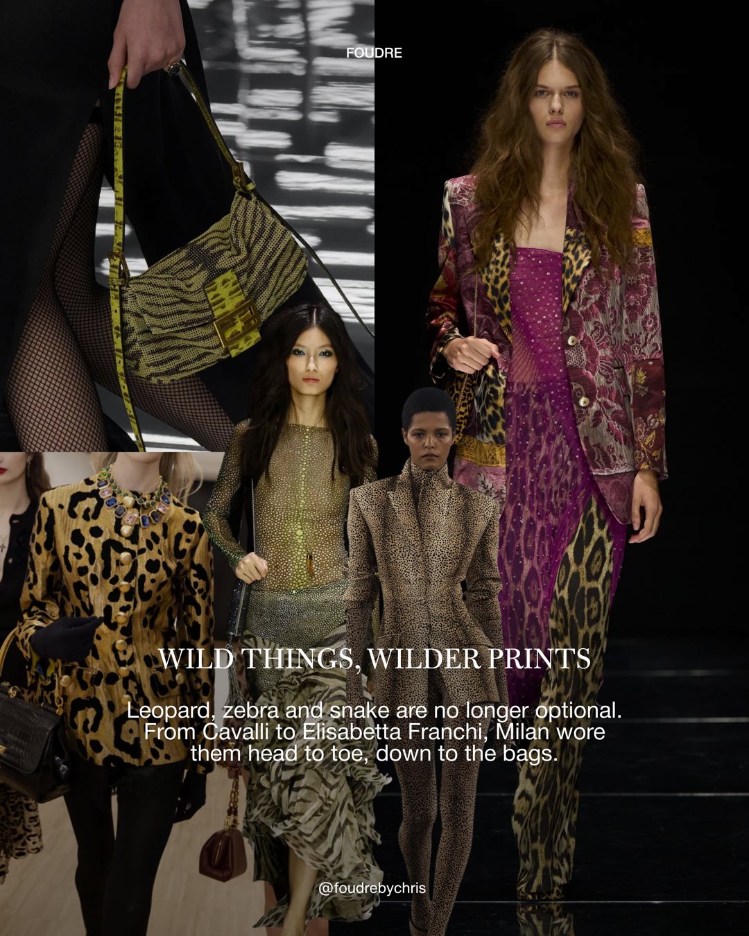 Foudre carousel slide 5: Wild things, wilder prints